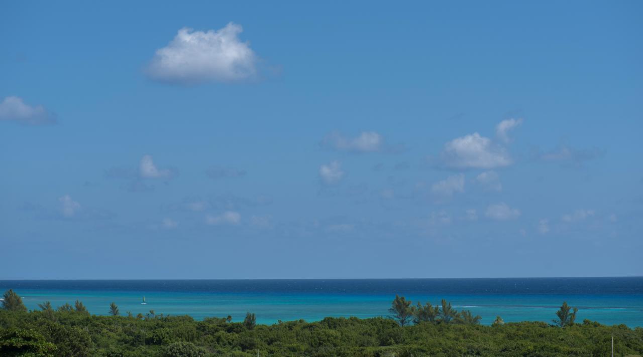 Portea Hotel 5Th Ave Midtown Playa del Carmen Buitenkant foto